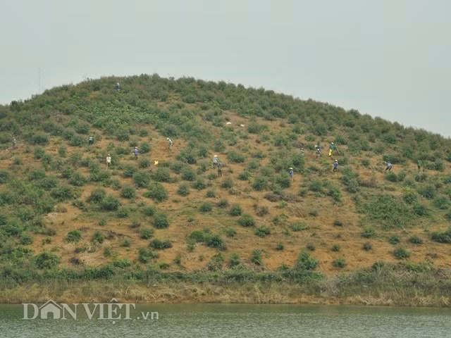 Cây cối nơi đây được người dân bản địa chăm sóc.