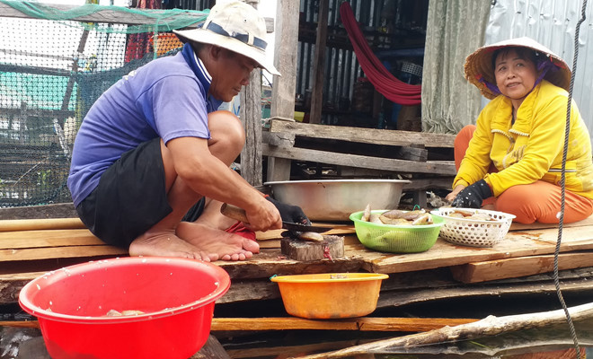 Cá đánh bắt trên lòng hồ. ẢNH: PHẠM ANH Cá đánh bắt trên lòng hồ. ẢNH: PHẠM ANH