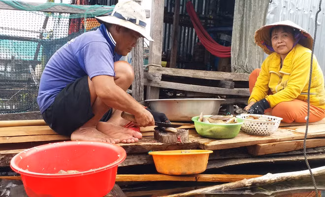 Cá đánh bắt trên lòng hồ. ẢNH: PHẠM ANH