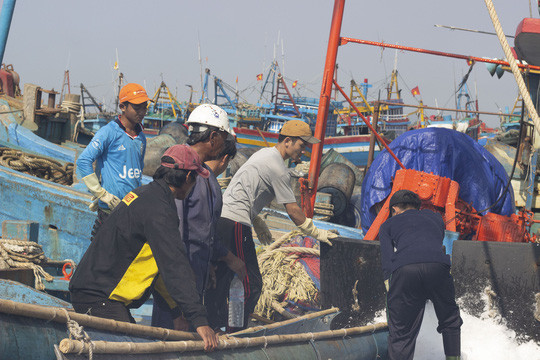  Các ngư dân thay phiên nhau nghiền đá cho xuống hầm, chuẩn bị cho chuyến ra khơi đầu năm