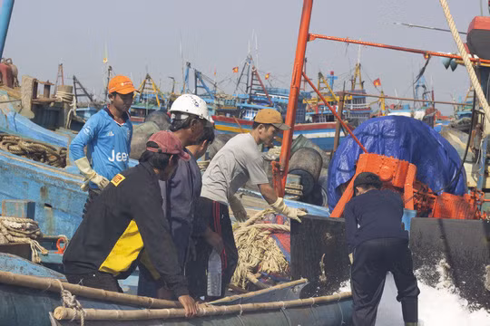  Các ngư dân thay phiên nhau nghiền đá cho xuống hầm, chuẩn bị cho chuyến ra khơi đầu năm