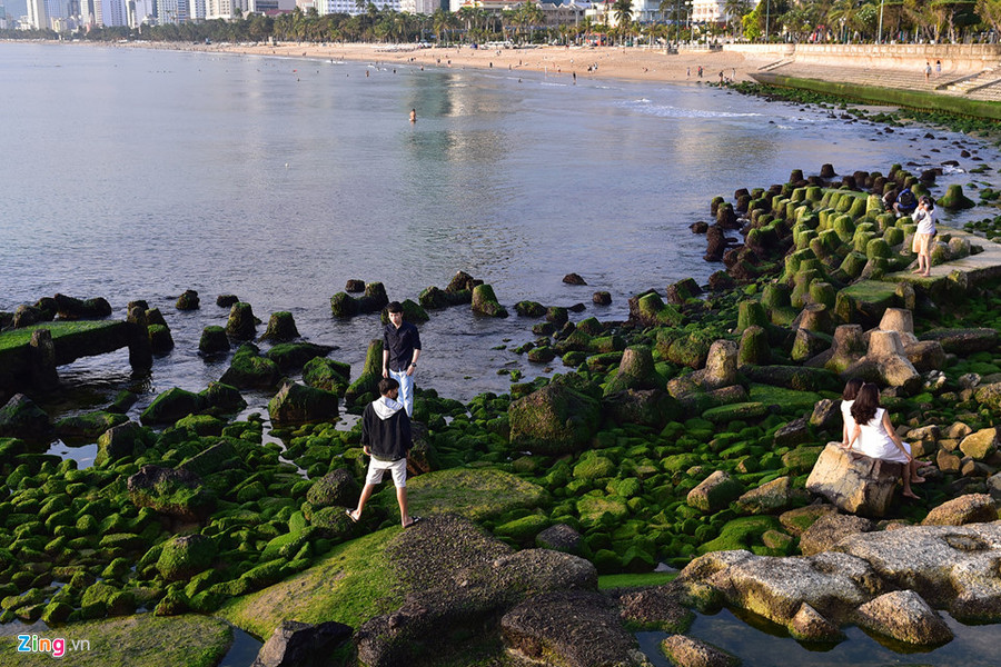  Một điều thích thú đối với du khách khi đến bãi rêu là việc có thể đứng ở đây để ngắm toàn bộ bãi biển Nha Trang dài hàng km phía sau.
