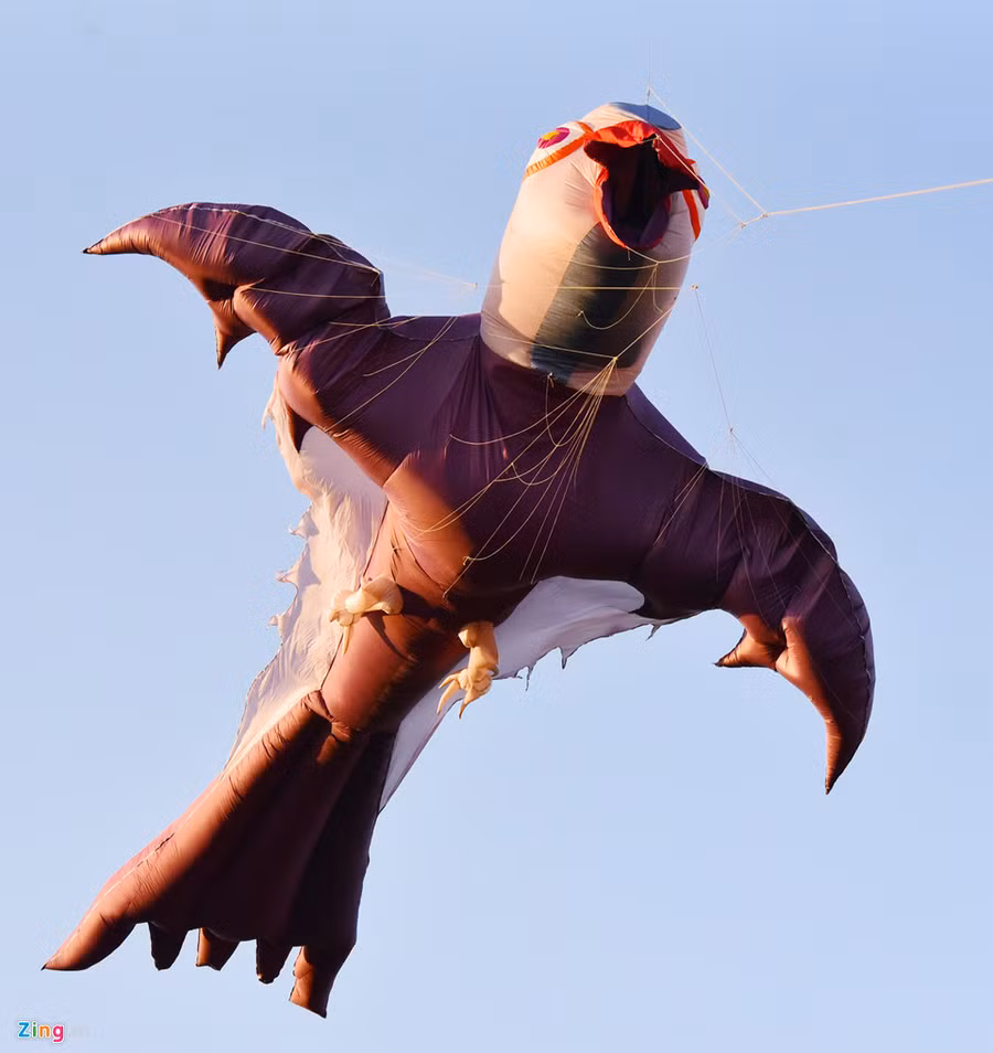 Diều hình chim diều hâu dài 10 m nhìn từ xa có hình dáng giống chúa tể bầu trời đang lao đi vun vút. Những cơn gió mạnh khiến diều chao đảo, tạo hình ảnh như đang sà xuống bắt mồi.