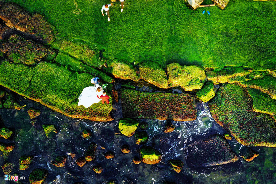 Không rộng như bãi rêu Xóm Rớ (Phú Yên) hay Cổ Thạch (Bình Thuận), bãi rêu trên biển Nha Trang chỉ dài khoảng 100 m phủ đầy những đá tảng, bờ kè bằng bê tông đã bị sóng đánh sập.