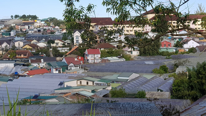 Một góc làng hoa Hà Đông ngày nay Một góc làng hoa Hà Đông ngày nay