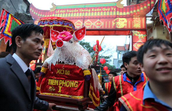 Con heo dâng tế thần hoàng của làng La Phù, huyện Hoài Đức, Hà Nội - Ảnh: VIỆT DŨNG Con heo dâng tế thần hoàng của làng La Phù, huyện Hoài Đức, Hà Nội - Ảnh: VIỆT DŨNG