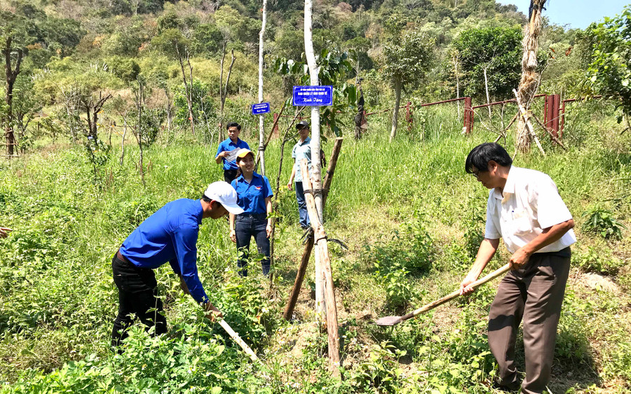 Trồng cây kơ nia tại Khu căn cứ cách mạng. Ảnh: Hà Duy