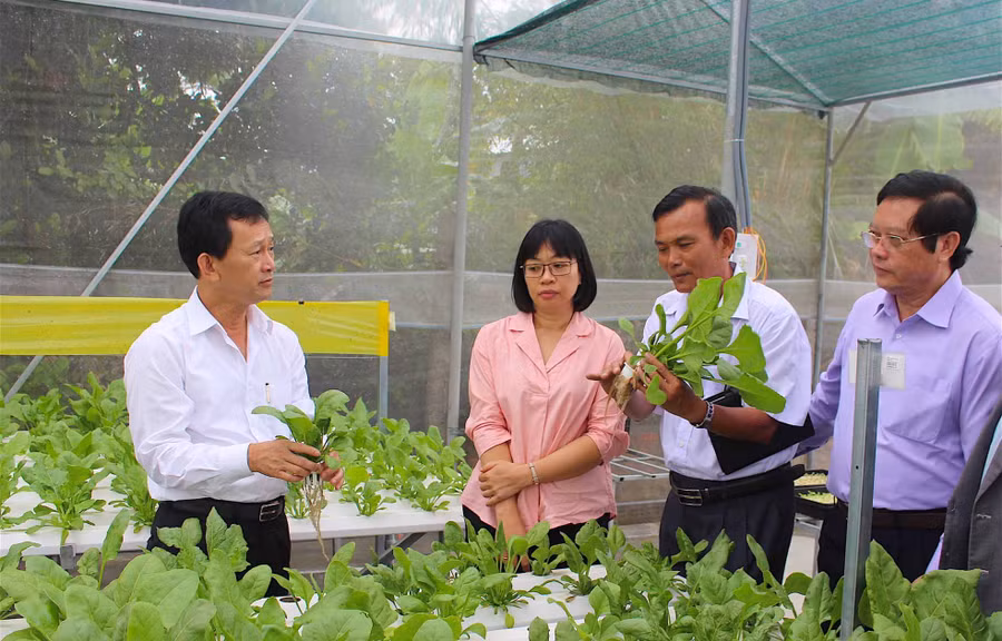 Tập trung đẩy mạnh phát triển nông nghiệp công nghệ cao. Ảnh: Mộc Trà