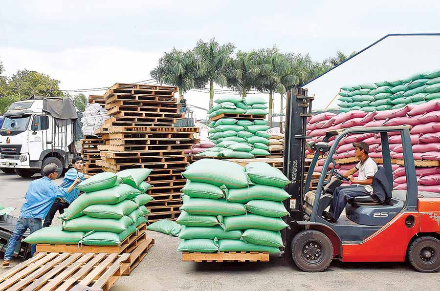  Xuất khẩu cà phê ở Công ty TNHH Vĩnh Hiệp (TP. Pleiku). Ảnh: Đ.T