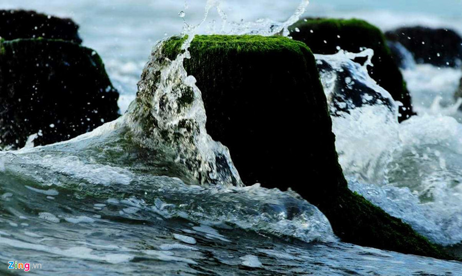 Bãi rêu sẽ bị nước biển nhấn chìm khi thủy triều lên.