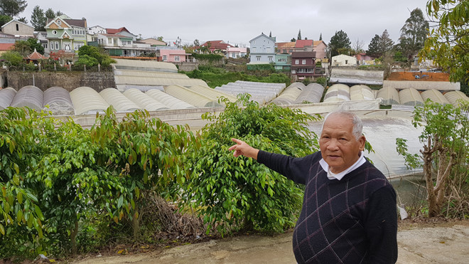 Cụ Vũ Hữu Xiêm, thế hệ thứ nhất của làng hoa Hà Đông Cụ Vũ Hữu Xiêm, thế hệ thứ nhất của làng hoa Hà Đông