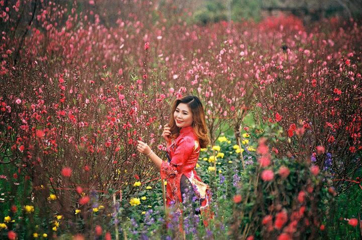 Năm mới Kỷ Hợi 2019 với sức xuân ngập tràn mọi miền Tổ quốc thân yêu. (Ảnh: Viết Thành)