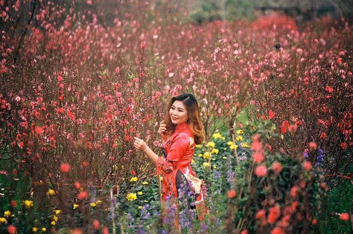 Năm mới Kỷ Hợi 2019 với sức xuân ngập tràn mọi miền Tổ quốc thân yêu. (Ảnh: Viết Thành)