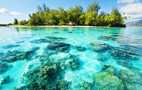 Nằm cách bờ biển phía Đông Nam của Phuket khoảng 3km, đảo Coral (hay đảo San Hô) sở hữu hơn 4,5km bờ biển với hơn 90% diện tích được phủ bởi rừng nguyên sinh cùng hệ thống động thực vật phong phú. Điểm thu hút du khách nhất tại đây là chương trình lặn biển ngắm san hô, nhờ có nhiều rặng san hô đẹp cùng những sinh vật biển đa dạng. Ngoài ra, bạn còn có thể tự do trải nghiệm bờ cát trắng, bãi biển nước trong tới tận đáy, cũng như tham gia một số môn thể thao như đua ca nô, đi xe trượt nước, nhảy dù trên biển, lướt sóng...