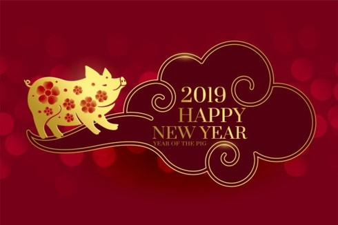 Năm 2019 là năm con lợn (Kỷ Hợi). Ảnh: Freepik. Năm 2019 là năm con lợn (Kỷ Hợi). Ảnh: Freepik.