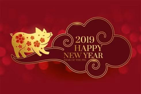 Năm 2019 là năm con lợn (Kỷ Hợi). Ảnh: Freepik.