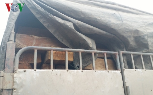 Trên chiếc xe chất đầy gỗ. Trên chiếc xe chất đầy gỗ.