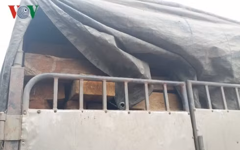 Trên chiếc xe chất đầy gỗ. Trên chiếc xe chất đầy gỗ.