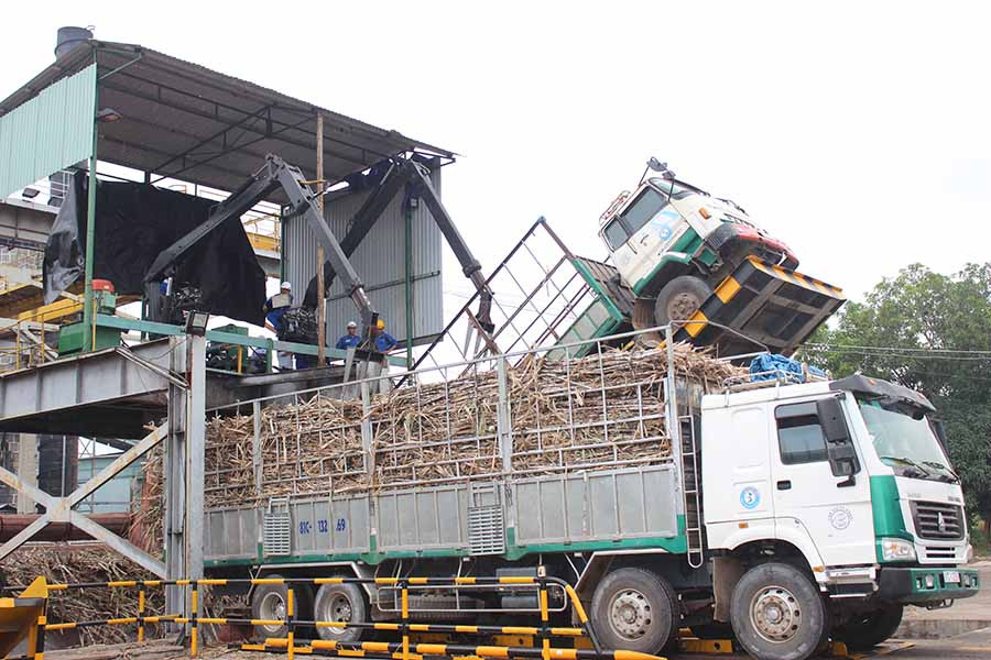  TTC Gia Lai thực hiện cơ giới hóa trong khâu nhập nguyên liệu. Ảnh: N.D