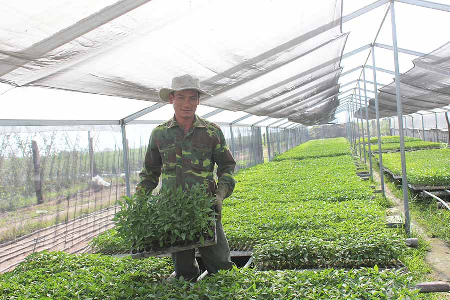 Nông dân xã Cư An sản xuất rau chất lượng cao trong nhà lưới. Ảnh: B.T Nông dân xã Cư An sản xuất rau chất lượng cao trong nhà lưới. Ảnh: B.T