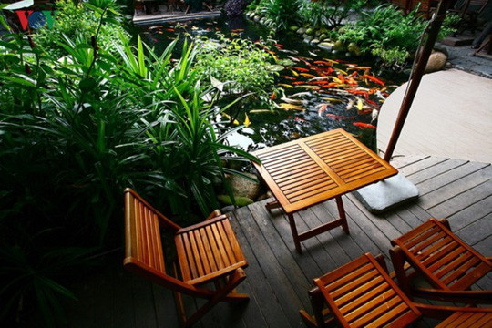 Ngồi nơi nào cũng có thể ngắm cá. Vật liệu chủ đạo của quán là đá, là nước, và gỗ.