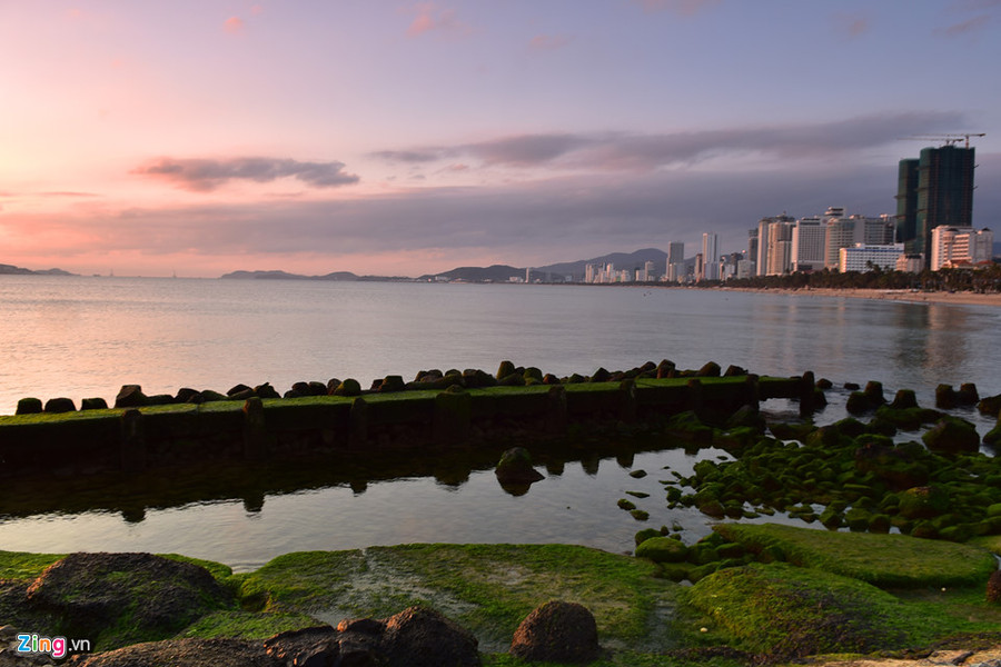  Hiện đường xuống bãi rêu chưa có, du khách phải vượt qua hàng rào bờ biển, sau đó di chuyển trên các tảng bê tông khá khó khăn, nhưng bù lại bạn sẽ có một bức ảnh đẹp.