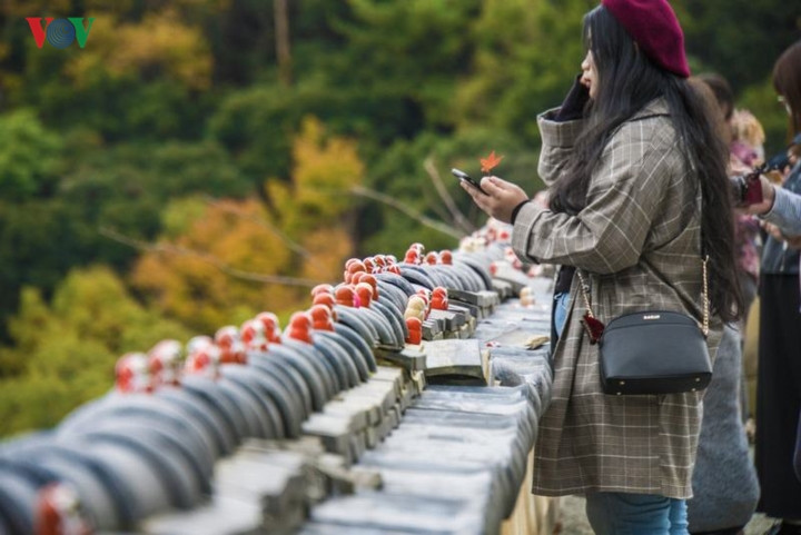 Bạn có thể rút lá thăm may mắn có hình Daruma, mua các món quà như các loại móc khóa, bánh kẹo có in hình Daruma rất đẹp mắt. 