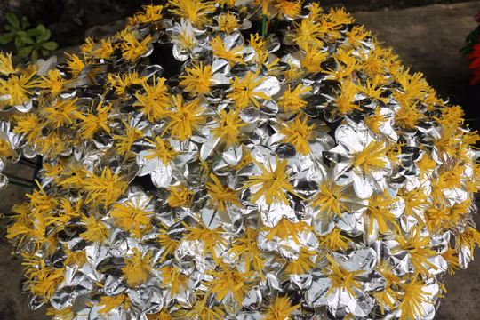 Màu vàng nhụy trắng