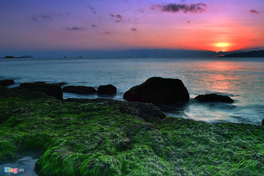 Một góc ảnh vào buổi sáng sớm bên bãi rêu.