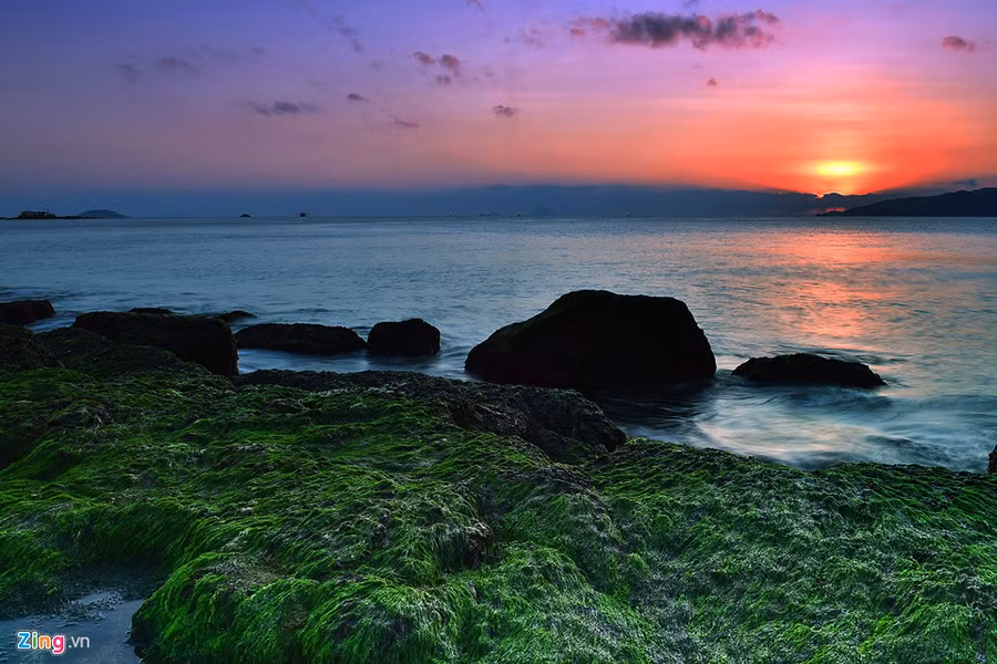 Một góc ảnh vào buổi sáng sớm bên bãi rêu. Một góc ảnh vào buổi sáng sớm bên bãi rêu.