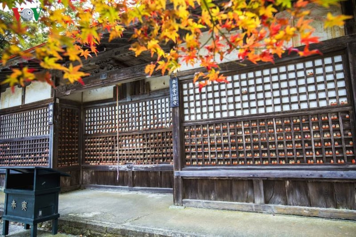  … đến những khu vực trang trọng, nơi Daruma được đặt thành cặp trên những ô tường gỗ.