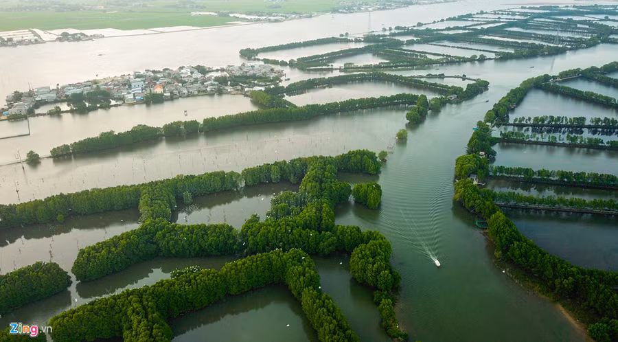 Du khách có thể đi ca nô hoặc ghe máy tham quan khu rừng ngập mặn ở Cồn Chim. Có hai cách đi đến 