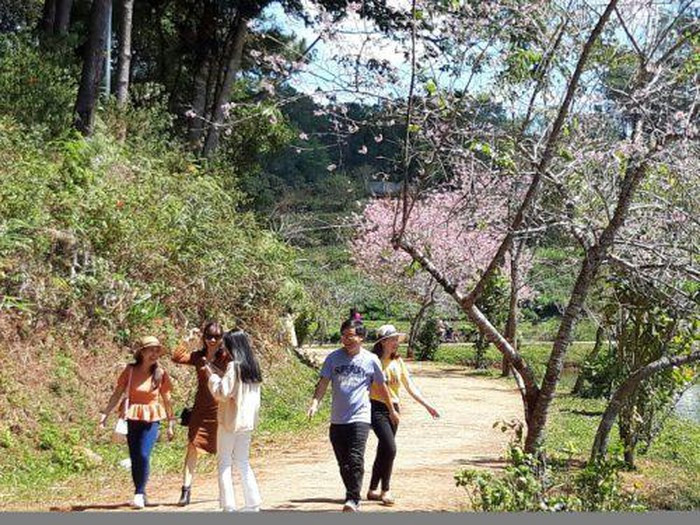  Mỗi dịp Tết đến xuân về, nơi đây luôn thu hút rất du khách gần xa đến du lịch và thưởng ngoạn