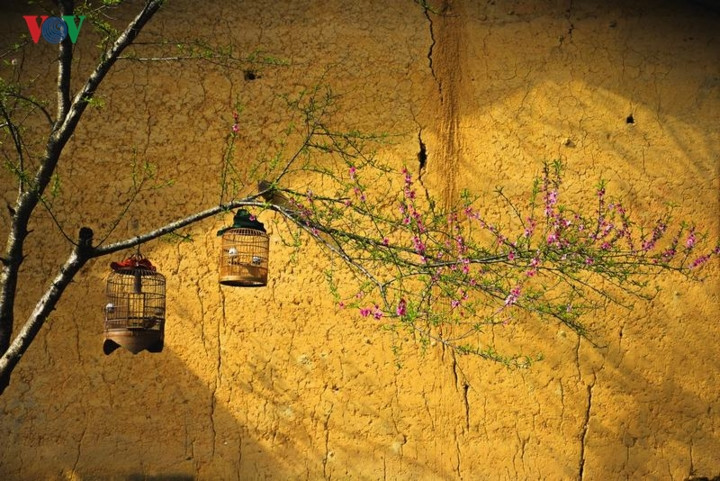 Những khung cảnh quá đỗi giản dị như cành hoa ngả bên vách tường đất đơn sơ cũng có thể khiến khách lạ ngẩn ngơ.