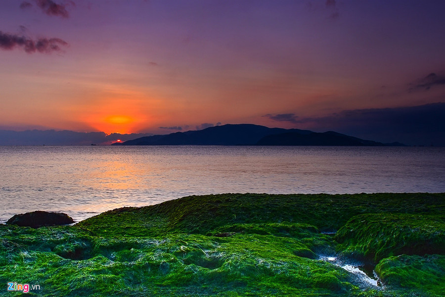  Thời điểm sáng sớm tạo cho bãi rêu khung cảnh huyền ảo, đẹp mê hồn.