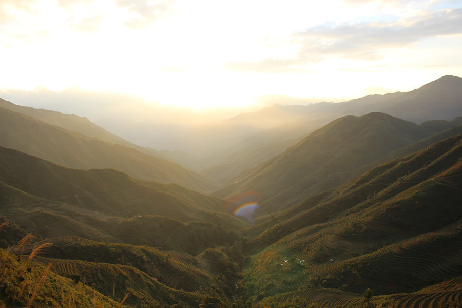 Ruộng bậc thang đẹp mơ màng ở Tà Xùa
