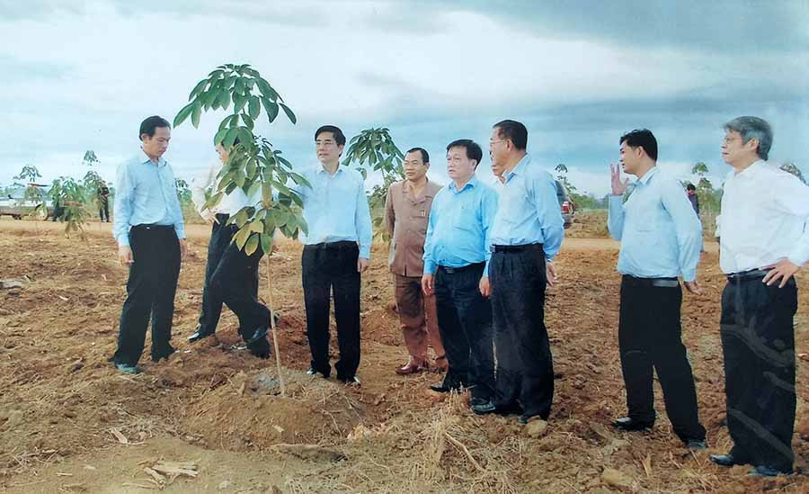  Lãnh đạo Tập đoàn Công nghiệp Cao su Việt Nam và lãnh đạo Công ty Cao su Mang Yang thăm vườn cây trồng mới. Ảnh: H.V