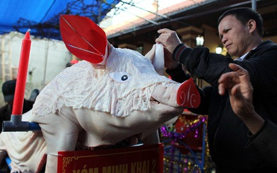 Người dân làng La Phù, huyện Hoài Đức, Hà Nội trang trí con heo làm lễ vật tế thần - Ảnh: VIỆT DŨNG Người dân làng La Phù, huyện Hoài Đức, Hà Nội trang trí con heo làm lễ vật tế thần - Ảnh: VIỆT DŨNG