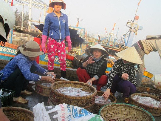 Lộc biển về Cảng cá Đề Gi Lộc biển về Cảng cá Đề Gi