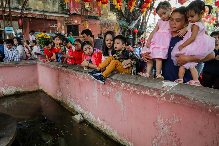 Tại chùa Ngọc Hoàng (quận 1) cũng đông nghịt người đi vãn cảnh đầu năm. Để tránh chen chúc, ngột ngạt vì khói hương, nhiều người đưa con cái xem hồ cá trong khuôn viên chùa.