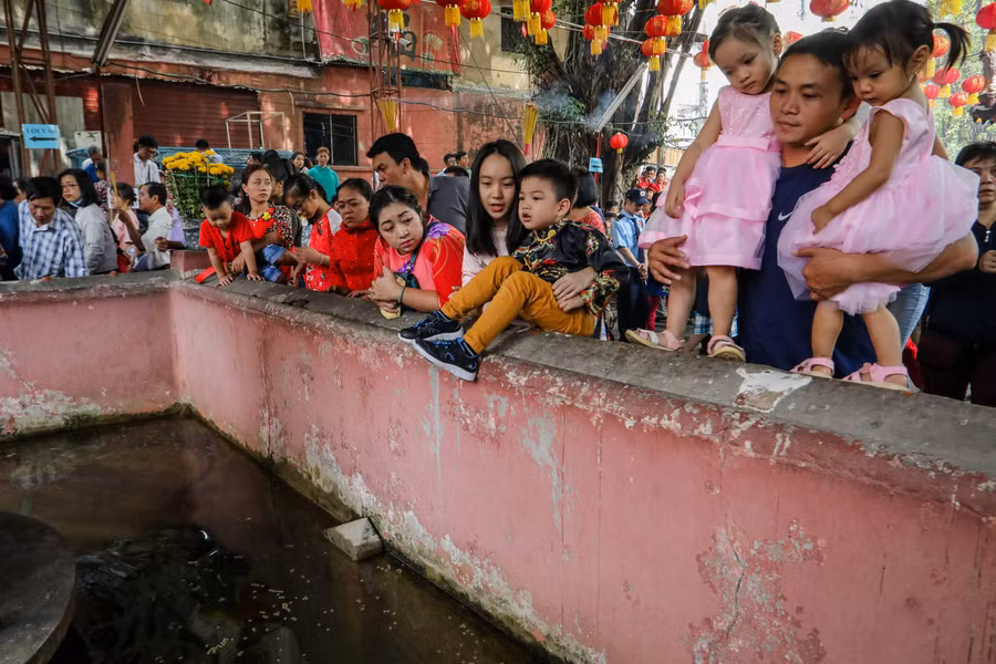 Tại chùa Ngọc Hoàng (quận 1) cũng đông nghịt người đi vãn cảnh đầu năm. Để tránh chen chúc, ngột ngạt vì khói hương, nhiều người đưa con cái xem hồ cá trong khuôn viên chùa.