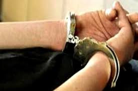 Ảnh minh họa (nguồn internet) Ảnh minh họa (nguồn internet)