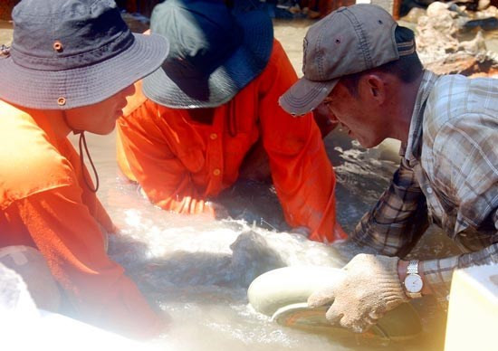 Khai quật tàu cổ đắm tại Bình Châu (Quảng Ngãi) Khai quật tàu cổ đắm tại Bình Châu (Quảng Ngãi)