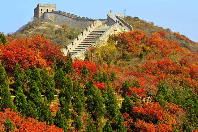 Vạn Lý Trường Thành cũng là một trong những điểm đến tuyệt đẹp trong mùa thu, đặc biệt ở những đoạn đi qua rừng. Ảnh: Suronin/Shutterstock
