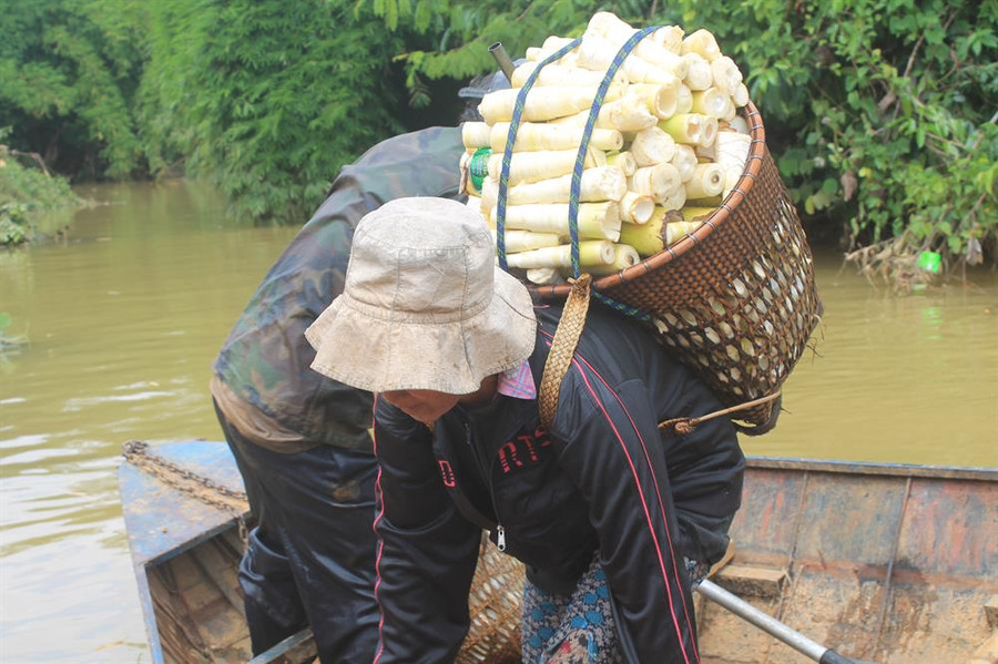 Gùi măng rừng nặng trĩu.
