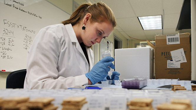 Nhu cầu điều chế các chủng kháng sinh thay thế đang vô cùng cấp bách.