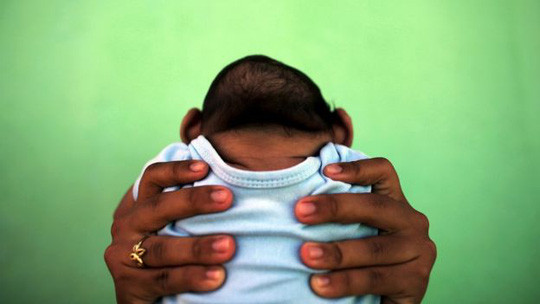 Virus Zika đầy đe dọa đang được kỳ vọng biến đổi thành một liệu pháp nhắm trúng đích, nhằm vào các khối u não khó điều trị - ảnh REUTERS Virus Zika đầy đe dọa đang được kỳ vọng biến đổi thành một liệu pháp nhắm trúng đích, nhằm vào các khối u não khó điều trị - ảnh REUTERS