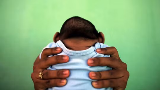 Virus Zika đầy đe dọa đang được kỳ vọng biến đổi thành một liệu pháp nhắm trúng đích, nhằm vào các khối u não khó điều trị - ảnh REUTERS