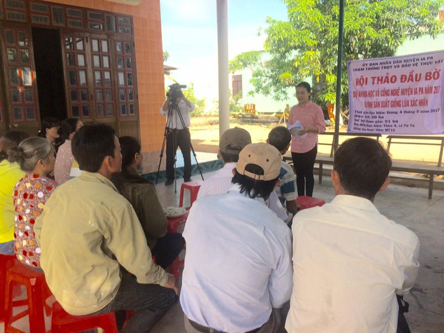 Hội thảo đôi bờ mô hình sản xuất giống lúa xác nhận MT10. Ảnh: Hoàng Hiền  Hội thảo đôi bờ mô hình sản xuất giống lúa xác nhận MT10. Ảnh: Hoàng Hiền