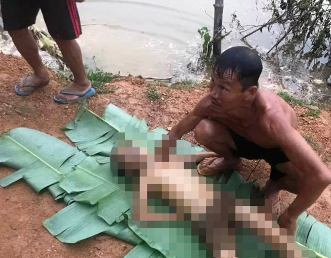 Em đạt được vớt lên khỏi hồ nước, nhưng em đã ngừng thở. Em đạt được vớt lên khỏi hồ nước, nhưng em đã ngừng thở.